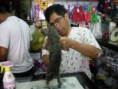 /album/fotogaleria-inicio1/sany3269-jpg/