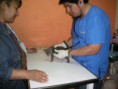 /album/fotogaleria-inicio1/sany3040-jpg/